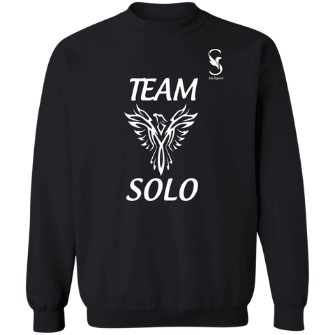 TEAM SOLO