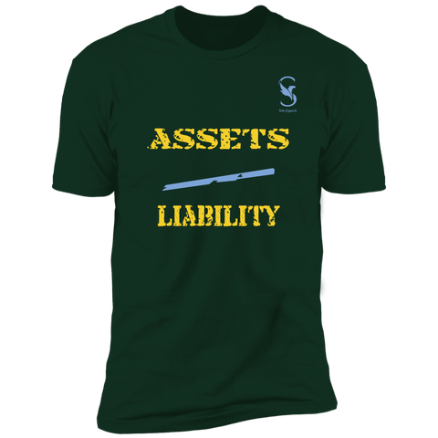 ASSETS over LIABILITY